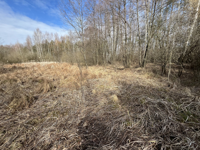 Działka Sprzedaż Nowy Kawęczyn 24