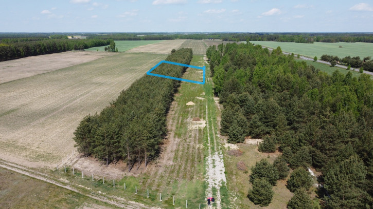 Działka Sprzedaż Wólka Gonciarska 2