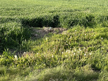 Działka Sprzedaż Grabów Nad Wisłą