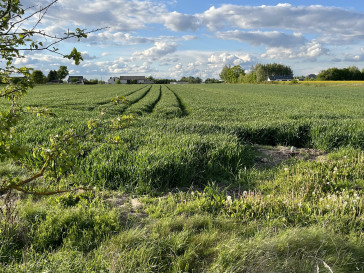 Działka Sprzedaż Grabów Nad Wisłą