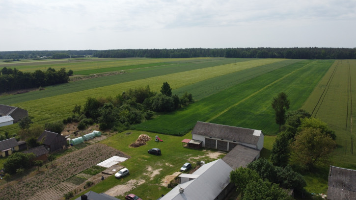 Działka Sprzedaż Jasieniec Solecki 5