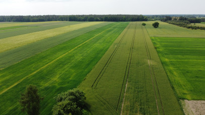Działka Sprzedaż Jasieniec Solecki