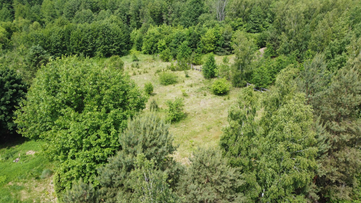 Dom Sprzedaż Gródek 5