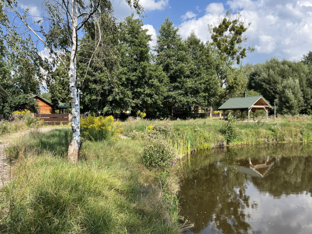 Dom Sprzedaż Ignacówka Bobrowska 19