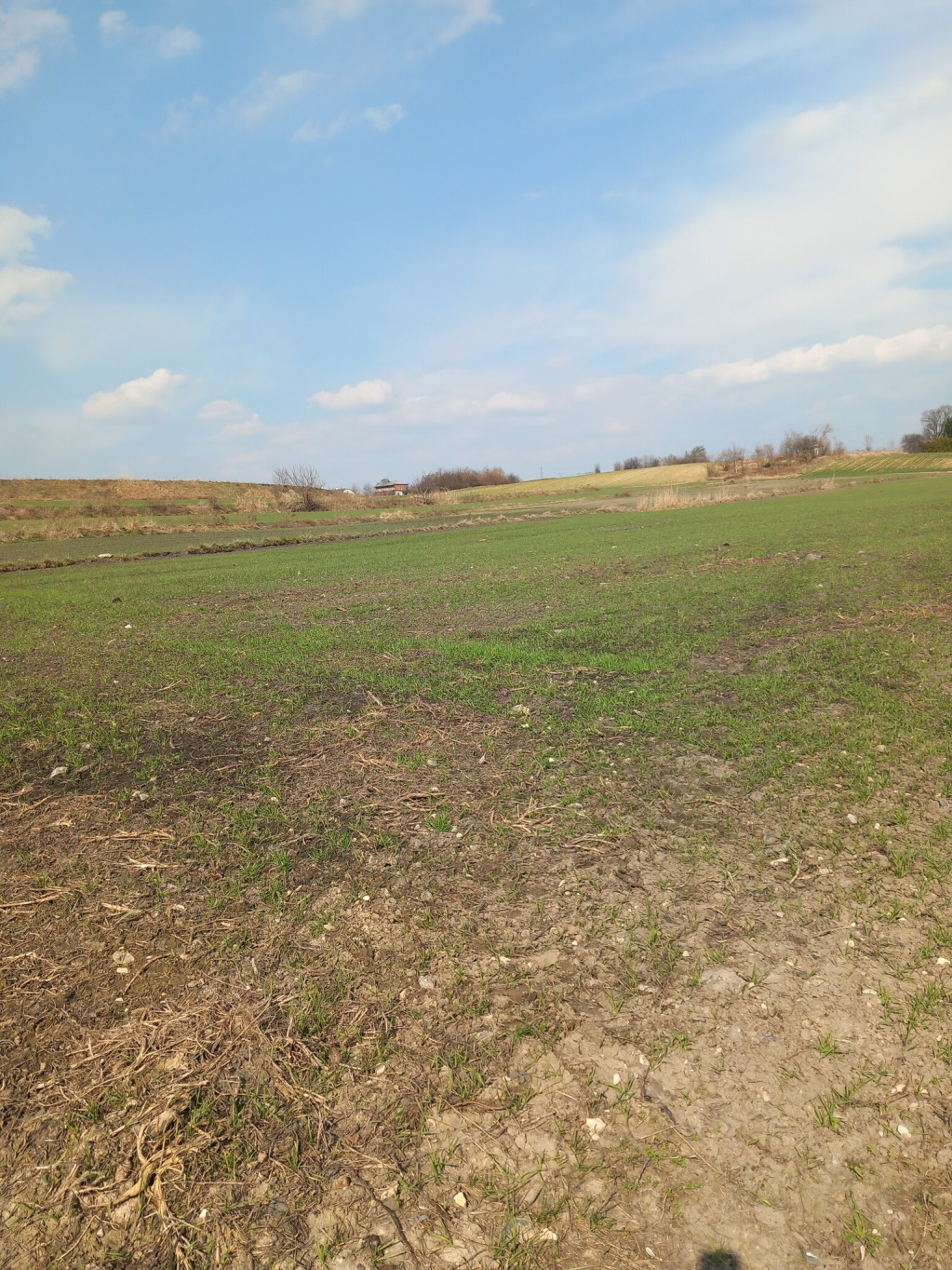 Działka Sprzedaż Jakubowice Murowane