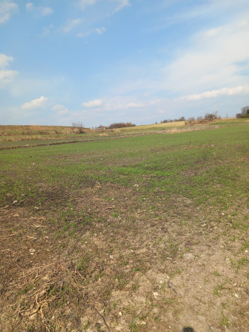 Działka Sprzedaż Jakubowice Murowane 1