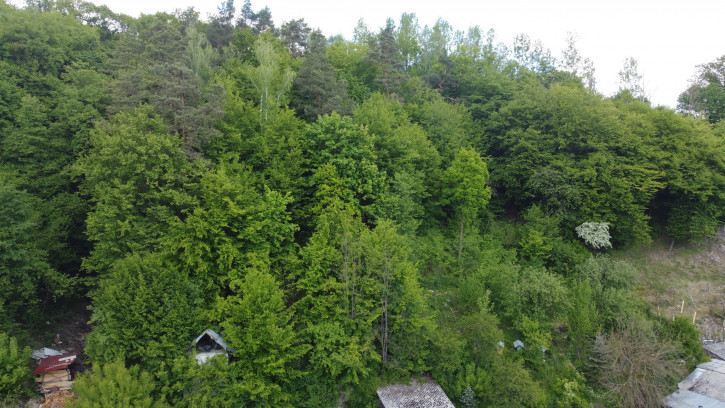 Dom Sprzedaż Kazimierz Dolny Doły Doły 3