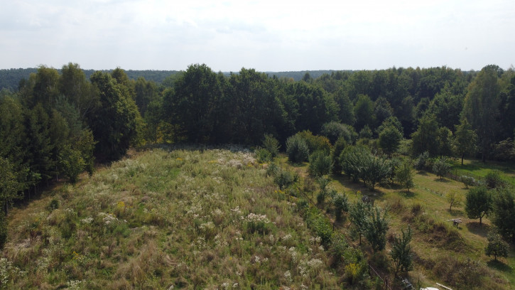 Działka Sprzedaż Bronowice 7
