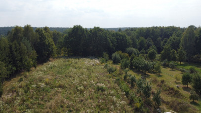 Działka Sprzedaż Bronowice
