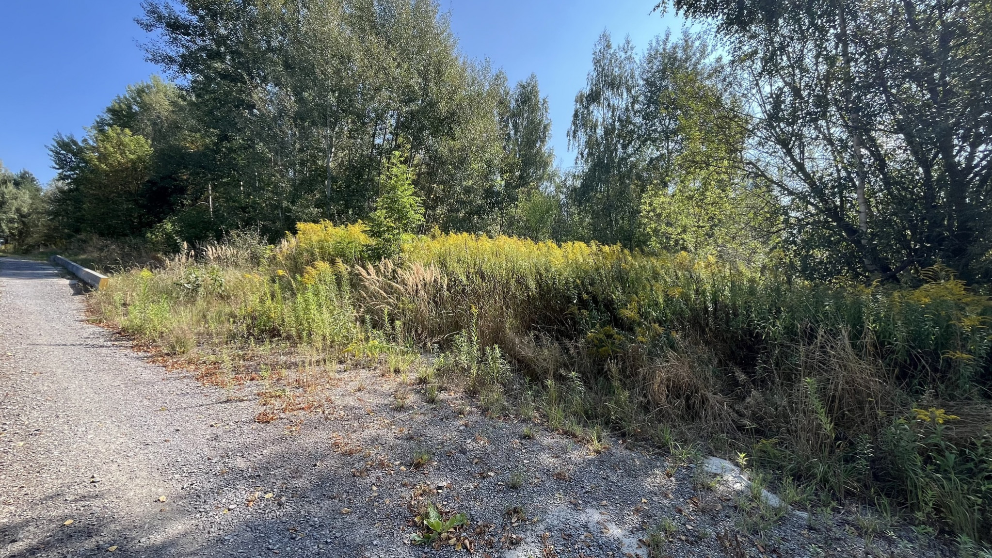 Działka Sprzedaż Jakubowice Konińskie-Kolonia