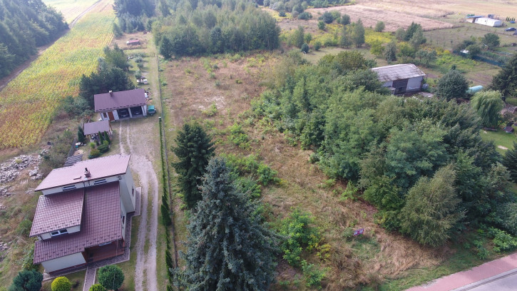 Działka Sprzedaż Dąbrowa 6