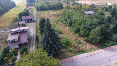 Działka Sprzedaż Dąbrowa