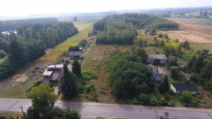 Działka Sprzedaż Dąbrowa 11