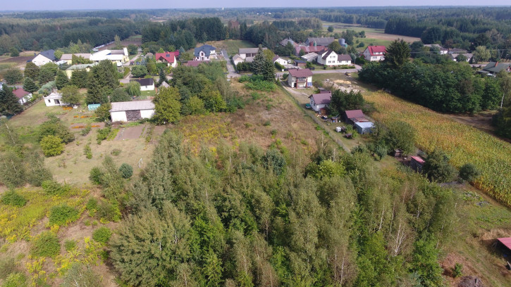 Działka Sprzedaż Dąbrowa 14