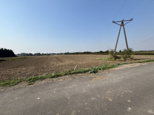 Działka Sprzedaż Gołąb Lotnisko 9