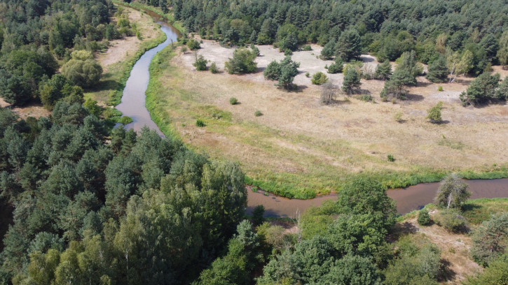 Działka Sprzedaż Wola Chodkowska 5