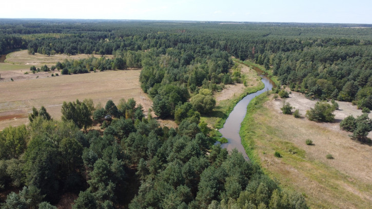 Działka Sprzedaż Wola Chodkowska 6