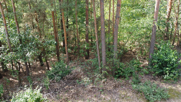 Działka Sprzedaż Wola Chodkowska 7