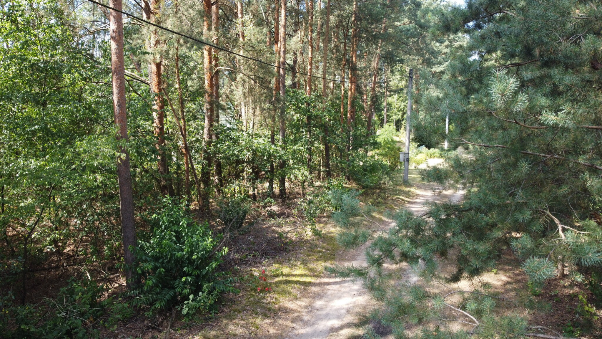 Działka Sprzedaż Wola Chodkowska
