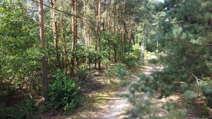 Działka Sprzedaż Wola Chodkowska 8