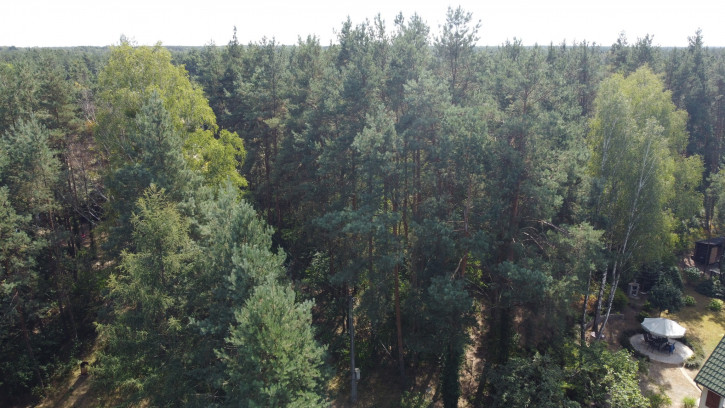Działka Sprzedaż Wola Chodkowska 11