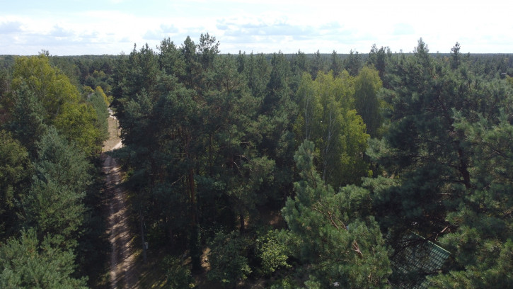 Działka Sprzedaż Wola Chodkowska 12