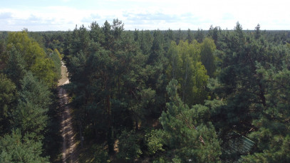 Działka Sprzedaż Wola Chodkowska