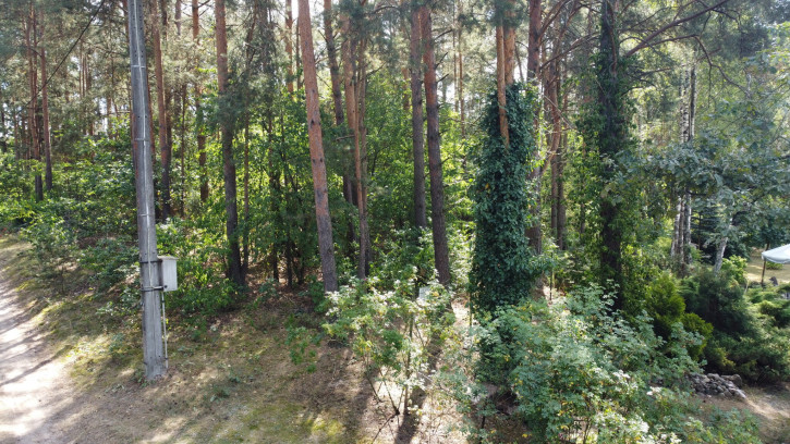 Działka Sprzedaż Wola Chodkowska 14