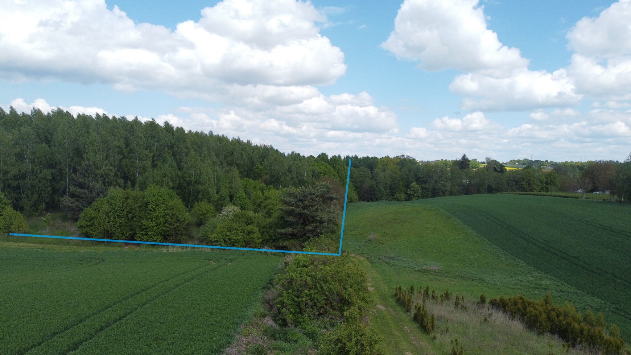 Działka Sprzedaż Chruszczów-Kolonia