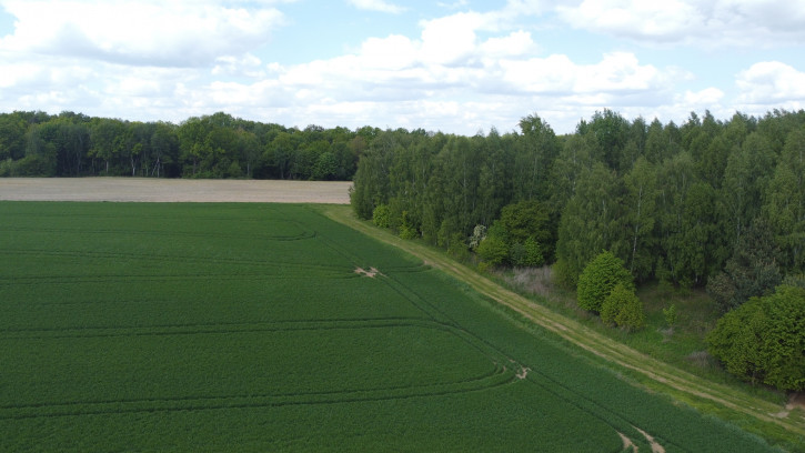 Działka Sprzedaż Chruszczów-Kolonia 4