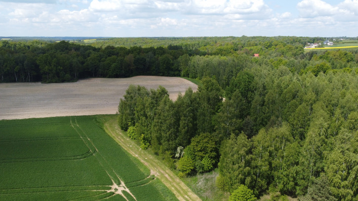 Działka Sprzedaż Chruszczów-Kolonia 6