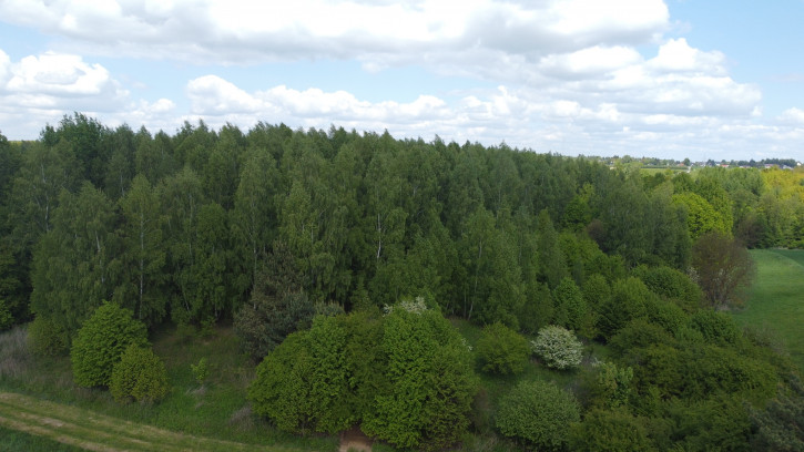 Działka Sprzedaż Chruszczów-Kolonia 9