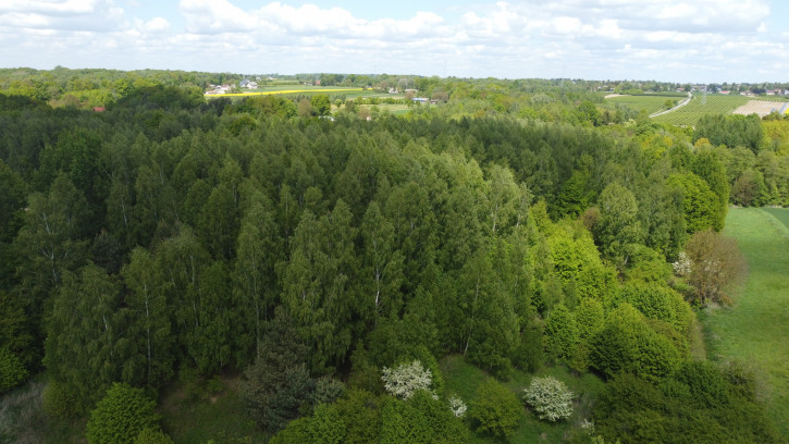 Działka Sprzedaż Chruszczów-Kolonia 10