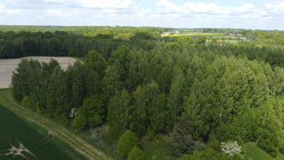 Działka Sprzedaż Chruszczów-Kolonia
