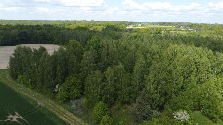 Działka Sprzedaż Chruszczów-Kolonia 11