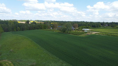 Działka Sprzedaż Chruszczów-Kolonia