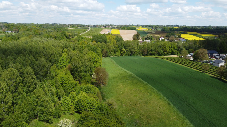 Działka Sprzedaż Chruszczów-Kolonia 14