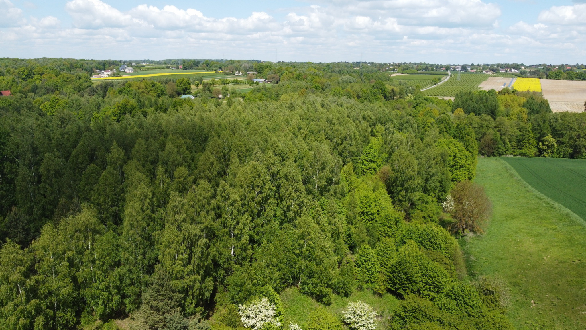 Działka Sprzedaż Chruszczów-Kolonia