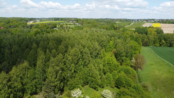 Działka Sprzedaż Chruszczów-Kolonia 15