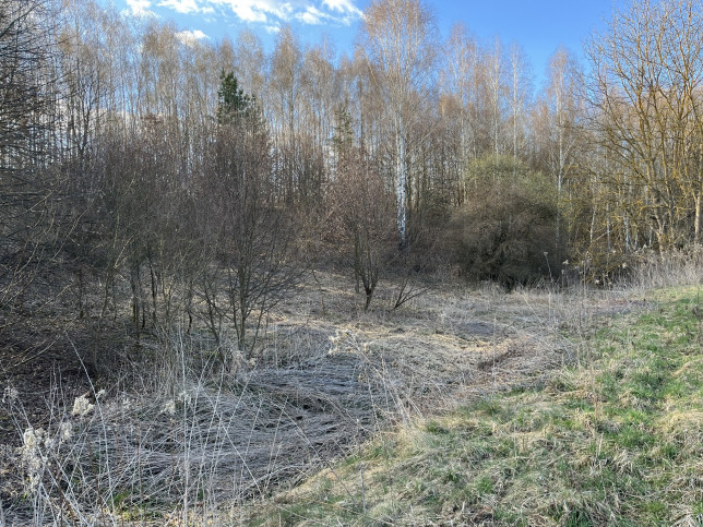 Działka Sprzedaż Chruszczów-Kolonia 20