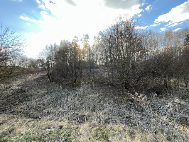 Działka Sprzedaż Chruszczów-Kolonia 21