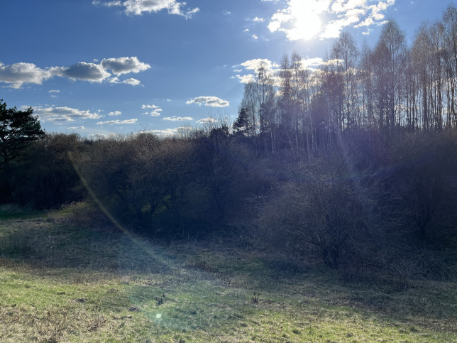 Działka Sprzedaż Chruszczów-Kolonia 24