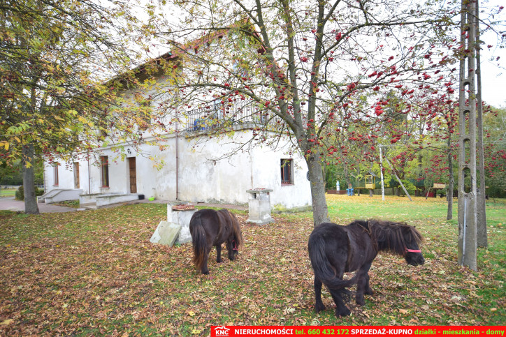 Dom Sprzedaż Turka 6