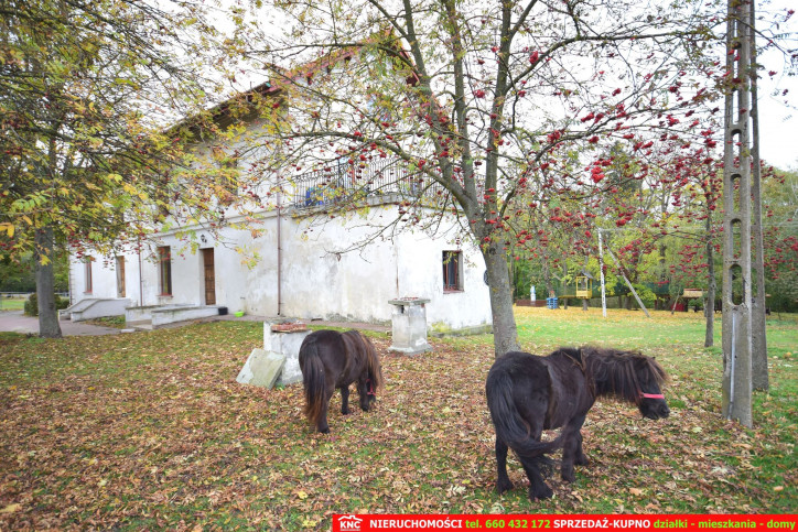 Obiekt Sprzedaż Turka 6