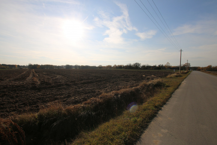 Działka Sprzedaż Sobolew-Kolonia 4