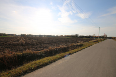 Działka Sprzedaż Sobolew-Kolonia