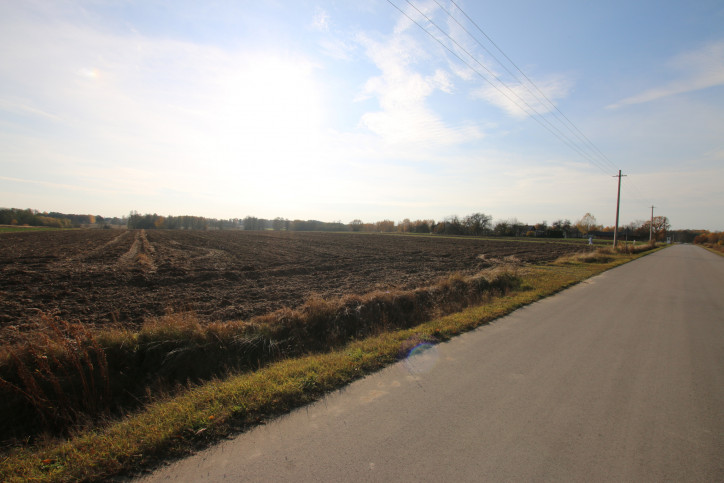 Działka Sprzedaż Sobolew-Kolonia 11