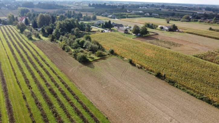 Działka Sprzedaż Motycz 5