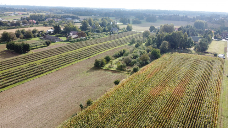 Działka Sprzedaż Motycz 10