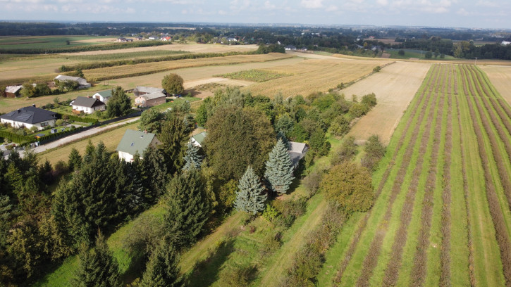 Działka Sprzedaż Motycz 11